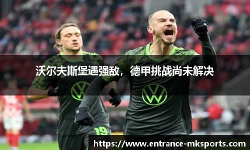 mk体育官方网站
