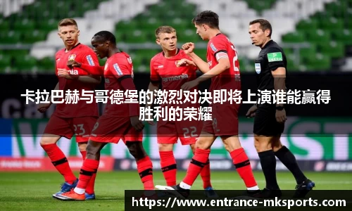 mk体育官方网站