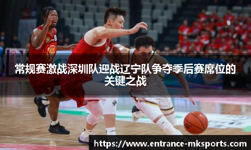 常规赛激战深圳队迎战辽宁队争夺季后赛席位的关键之战