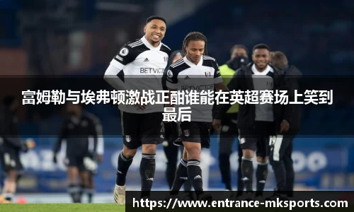 富姆勒与埃弗顿激战正酣谁能在英超赛场上笑到最后