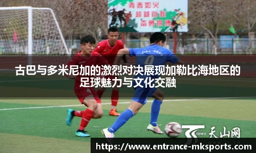 mk体育官方网站