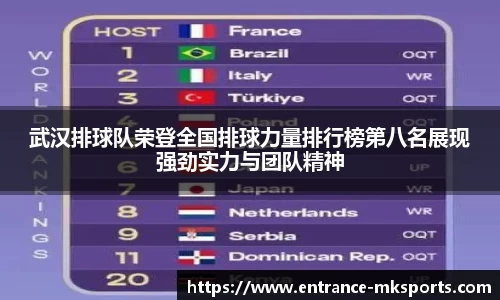 武汉排球队荣登全国排球力量排行榜第八名展现强劲实力与团队精神