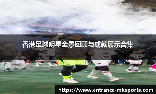 mk体育